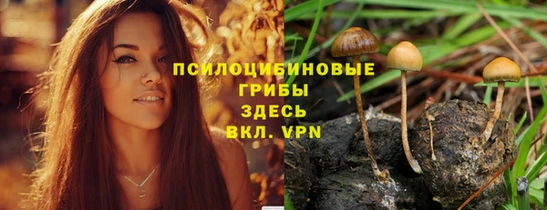 кокс Алзамай