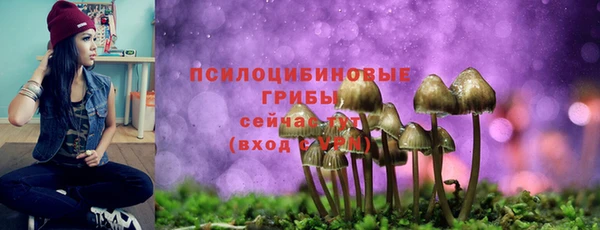 кокс Алзамай