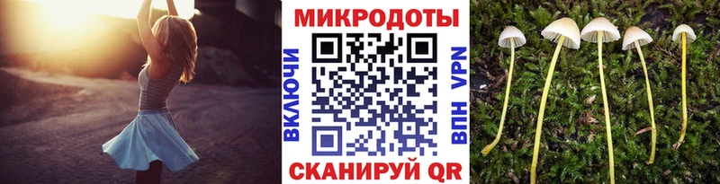 Псилоцибиновые грибы Psilocybine cubensis  Купить где  Братск 